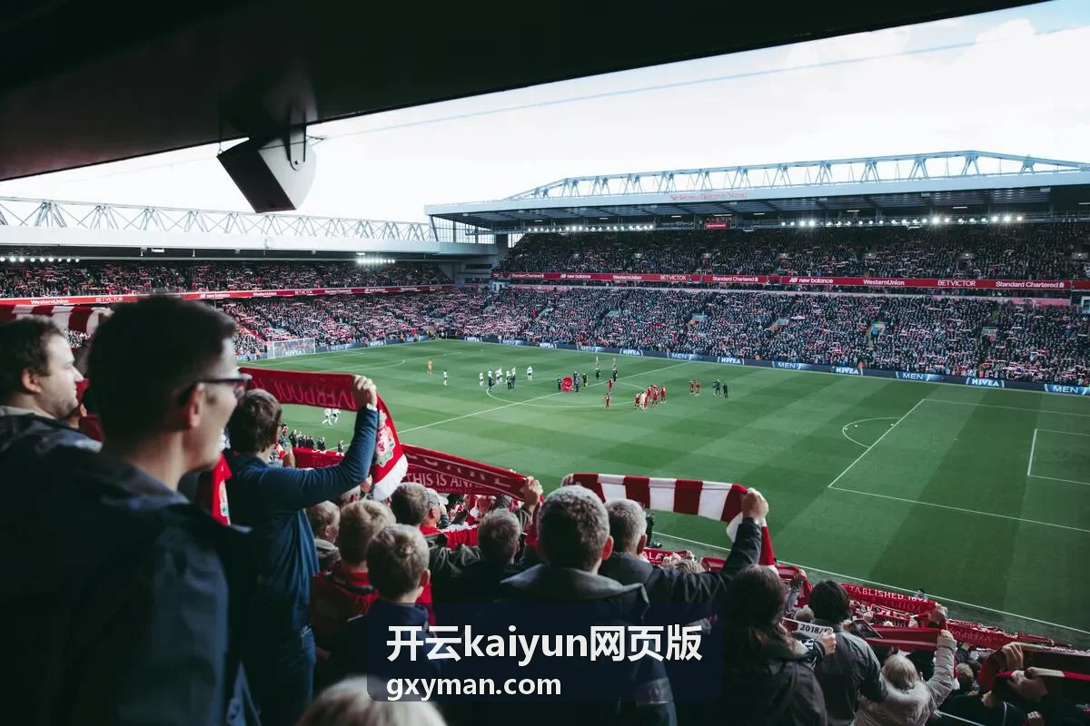 开云kaiyun网页版账号安全设置示意