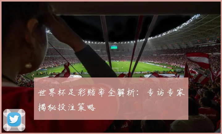 世界杯足彩赔率全解析：专访专家揭秘投注策略