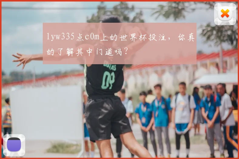 lyw335点c0m上的世界杯投注,你真的了解其中门道吗?