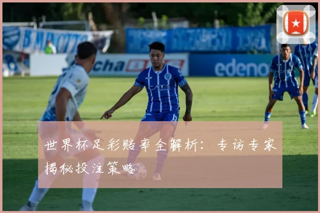 世界杯足彩赔率全解析：专访专家揭秘投注策略