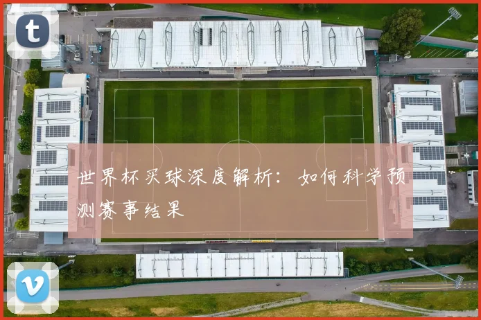 世界杯买球深度解析:如何科学预测赛事结果