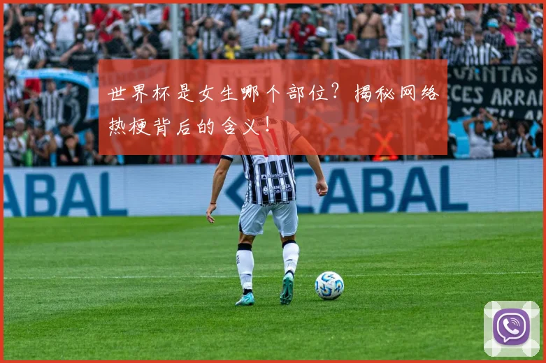 世界杯是女生哪个部位?揭秘网络热梗背后的含义!