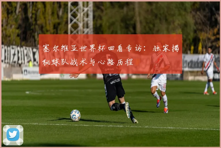 塞尔维亚世界杯回看专访：独家揭秘球队战术与心路历程